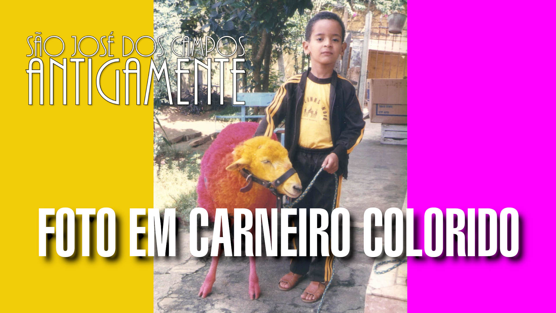 Você foi fotografado quando criança no carneiro colorido?